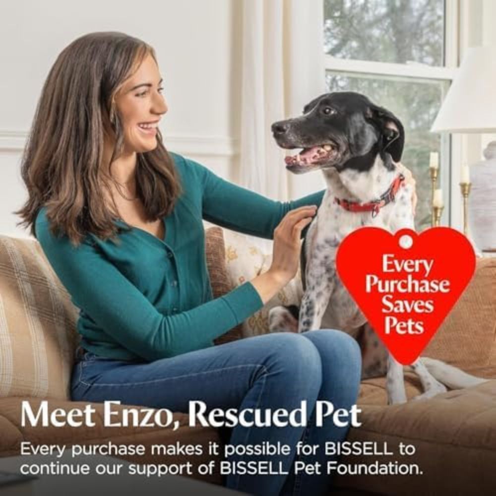 meet enzo, rescued pet