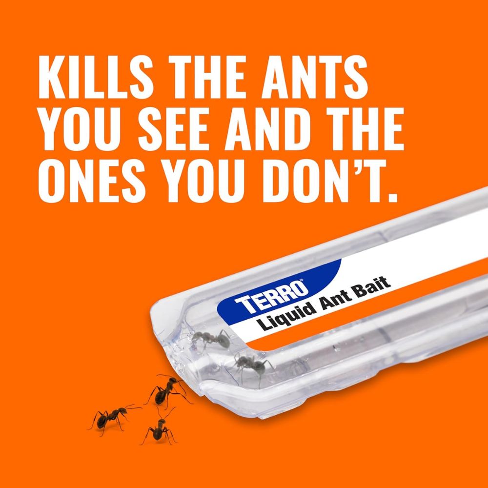 kills the ants you see