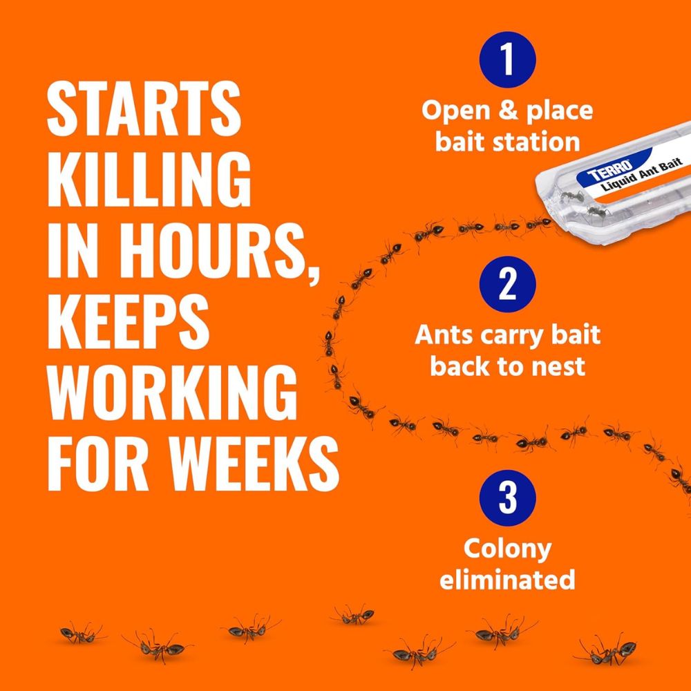 starts killing in hours